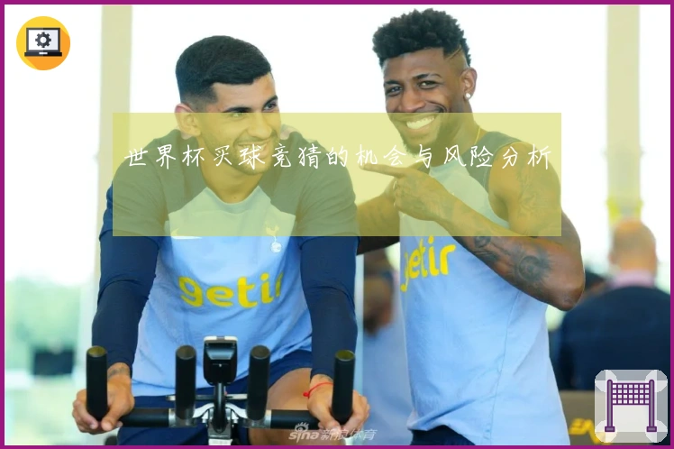 世界杯买球竞猜的机会与风险分析