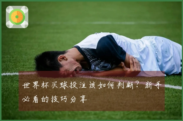 世界杯买球投注该如何判断？新手必看的技巧分享