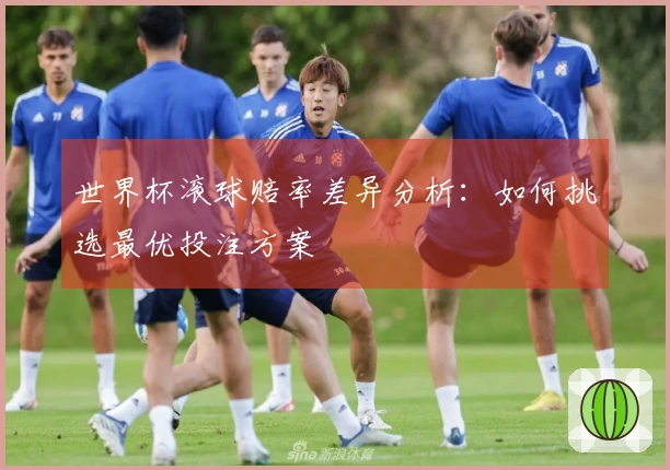 世界杯滚球赔率差异分析：如何挑选最优投注方案