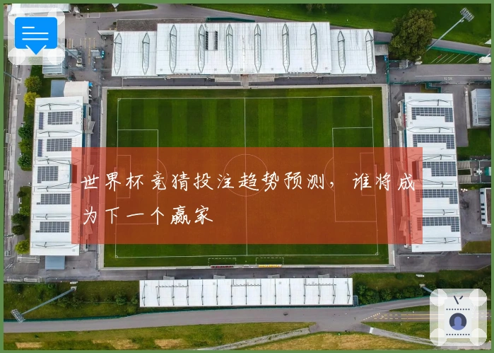世界杯竞猜投注趋势预测，谁将成为下一个赢家
