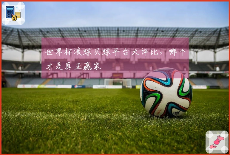 世界杯滚球买球平台大评比，哪个才是真正赢家