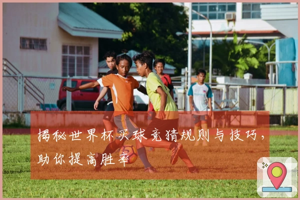 揭秘世界杯买球竞猜规则与技巧，助你提高胜率