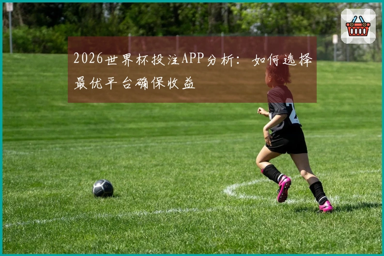 2026世界杯投注APP分析：如何选择最优平台确保收益