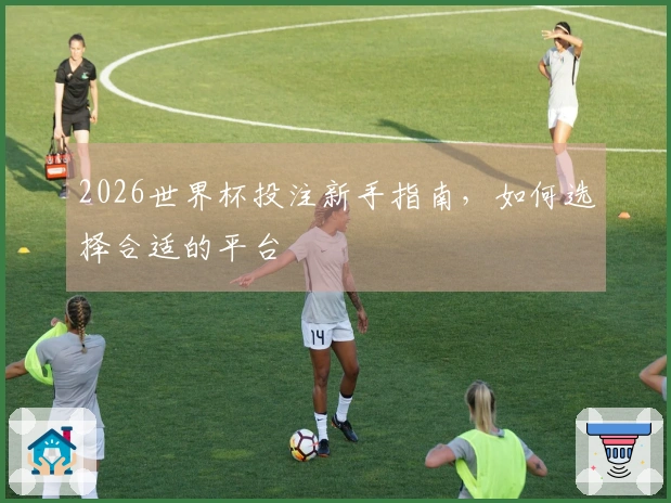2026世界杯投注新手指南，如何选择合适的平台