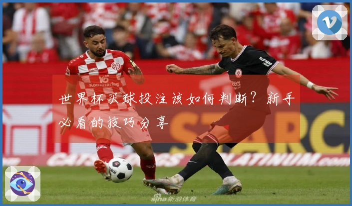 世界杯买球投注该如何判断？新手必看的技巧分享