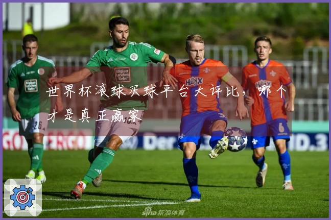 世界杯滚球买球平台大评比，哪个才是真正赢家