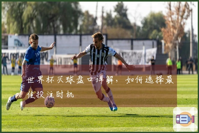 世界杯买球盘口详解，如何选择最佳投注时机