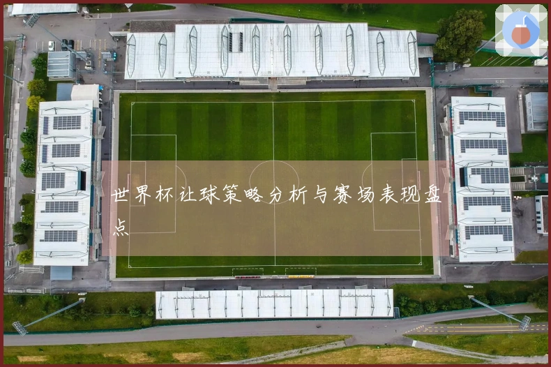 世界杯让球策略分析与赛场表现盘点